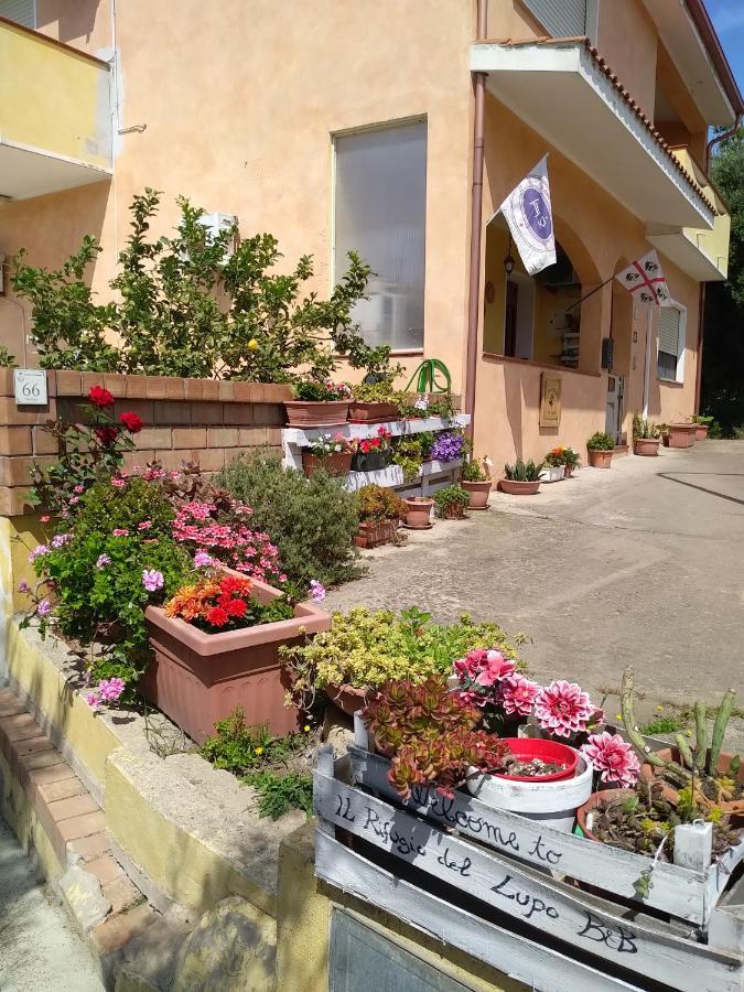 B&B Il Rifugio Del Lupo - E6721 Paringianu Luaran gambar